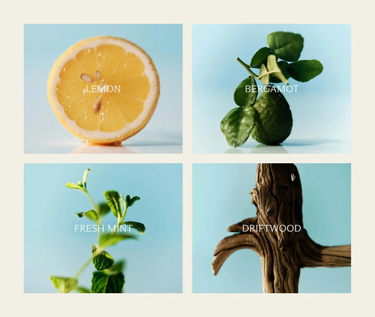 Amalfi Lemon & Mint Liquid Soap